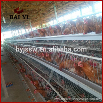 Zambia Automatic Drinker Feeder Chicken Layer Cages Factory Wholesale
